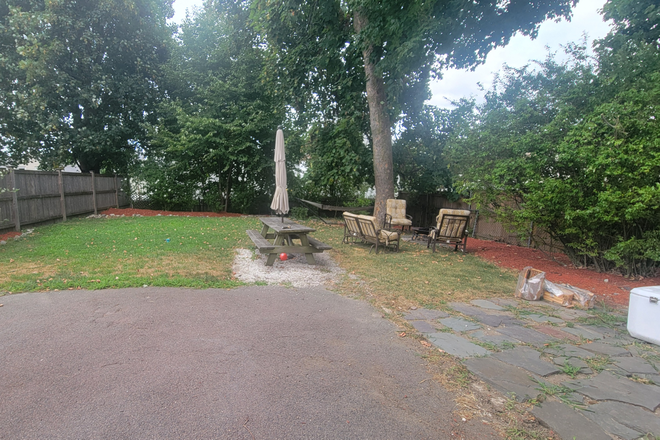yard - Newly Renovated Top-Floor Oasis Steps to Moody St & Charles River Condo