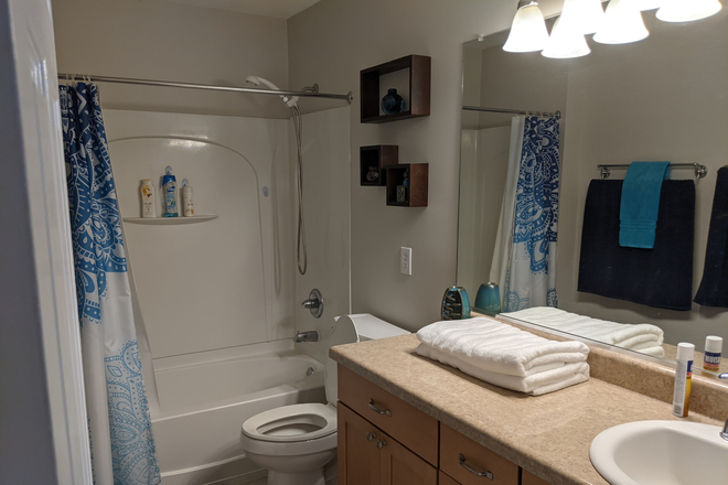 Bathroom - Comfy Loft w Bed & Bath Near Southpoint/ Durham