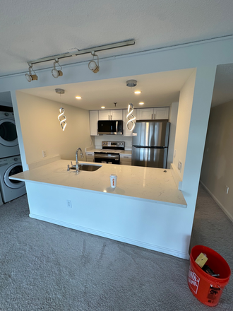 Renovated kitchen - Luxurious 2 bedroom in the heart of Coolidge Corner! Condo