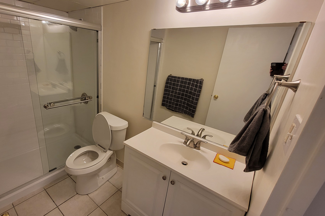 updated bathroom with walk-in shower - 2 bdrm 1 bath condo, 7th flr of secure bldg, across from DU Ritchie Center, 1/2 block to light rail
