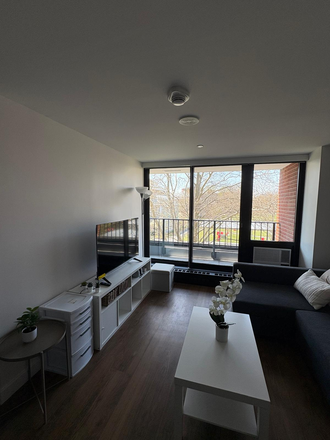 Living room & View - Fully Furnished & Renovated 1 Bed / 1 Bath in Soldiers Field Park (SFP) 2 Apartments