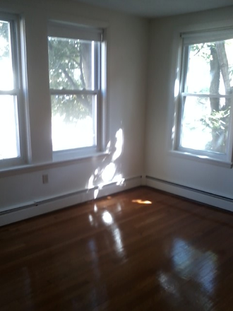 Hub Realty - Sunny front 2 bedroom, on tree lined street Apartments