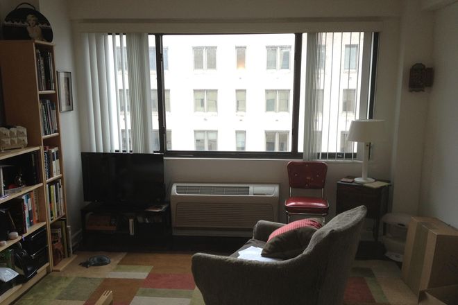 Sunny top floor window. - Bright, Sunny Studio in Foggy Bottom/GWU