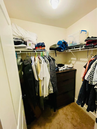 Walk-in closet - The Retreat at Gainesville Apartments