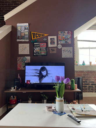 living room - Summer Sublease Apartments