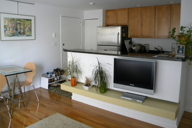 Kitchen/Living Room 1 - 70 Park Street, Unit #22 (10 min walk to Harvard Sq)