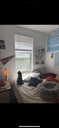 Bedroom Photo from Cat sitting - Commons 5 Bedroom Largest Room Apartments