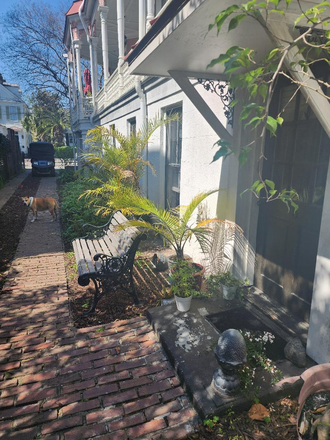 Patio Outside Entry - Beautiful large ONE bedroom apartment, Rutledge Ave, All inclusive off street parking.