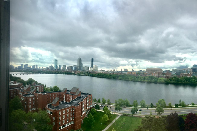 South facing view - South-facing 1 bedroom apartment with a view of the Boston skyline over the Charles River
