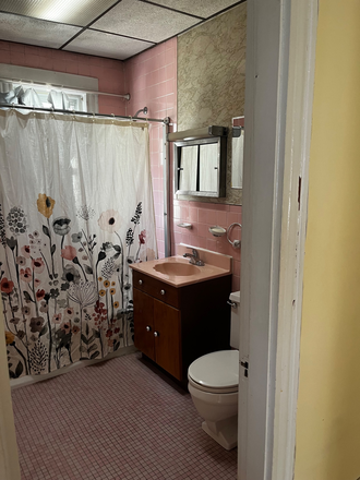 Bathroom - Watertown  near Cambridge line off Mt. Auburn St. Triplex