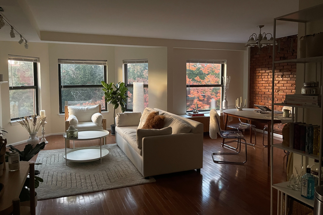 Living room - Room in a 2 bedroom apartment with private bathroom and in-unit laundry. 5 mins from campus