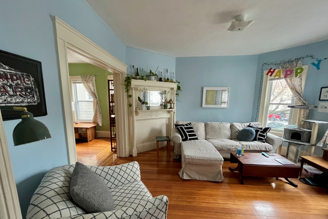Living room - Graduate Student Apartment near Davis/Ball Square/Tufts Campus
