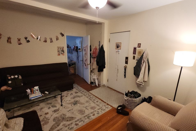 Call NOW for showings! 617-236-8550 - COMM AVE - *NO FEE* LRG MODERN 2BR/1BA CONDO AVAIL *9/1/2026* W/ H&HW INC, LNDRY IN BLDNG, PRKNG INC