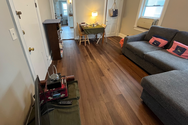 Living room or can be used as second bedroom (separate external doors and pocket indoor doors) - 1BR or 2BR apts-Bank St-Princeton