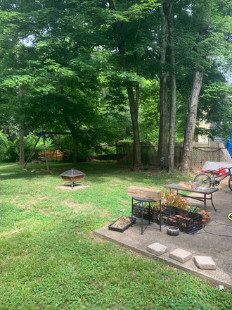 Backyard and patio - Quiet 2 Bedroom Carriage House in Decatur