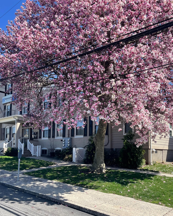 Building - Fully Furnished Beautiful Studio Apartment in Ardmore, PA