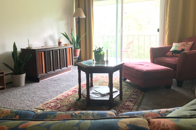 Living Room - ?? SUMMER SUBLET ?? 2BR ?? 15 min walk to MSU ?? Balcony with river view ??