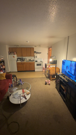 Living room - Kamins Apartments