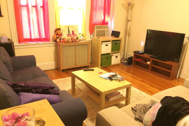 - - No Broker Fee!! Pet Friendly 1 Bed w/ Heat & Hot Water Incld, Laundry in Building Apartments