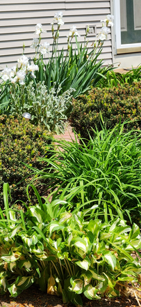 6 Flowers Gardens - Quiet Country Setting, Close to everything, Heat Included Apartments