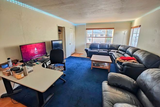 Living Room - Berkeley Hills House Near Campus