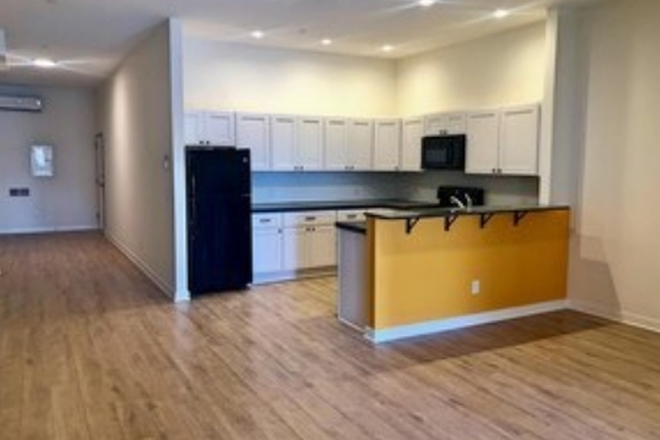 Kitchen and Living Room - Room in 2 bed 1 bath apartment, two minute walk away from Fairmount BSL Station!
