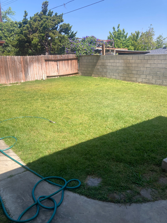 Back Yard from Back Door Diagonally to back left corner - Single Family Home within walking distance of Chapman University