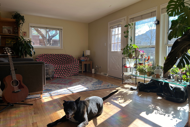 Living area and pup - 2 bedrooms available for summer sublease-option to extend through next semester House
