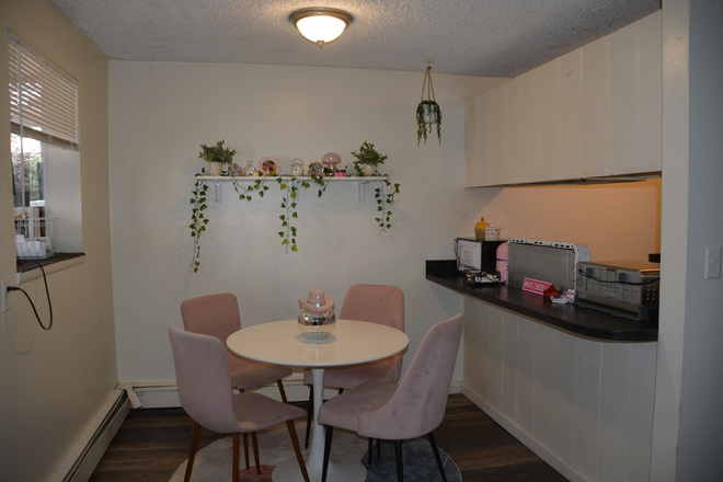 Dining room - Two Bedroom, One Bath apartment sublease for Spring 2025 Semester