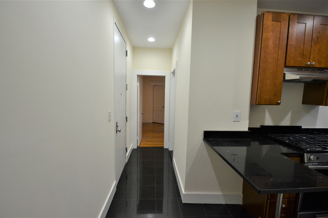 Kitchen - 2 bed 1 bath on Peterborough St - Modern Kitchen with Spacious Bedrooms! Apartments