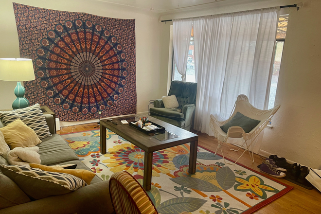 Living Room - S Race St Apartment, close to campus