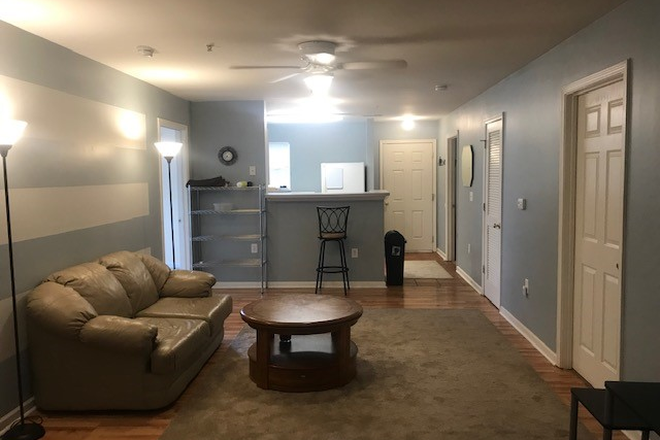 Living space w/hardwood floor - University Village - 4 bed/bath; rooms still available (guys only) Condo