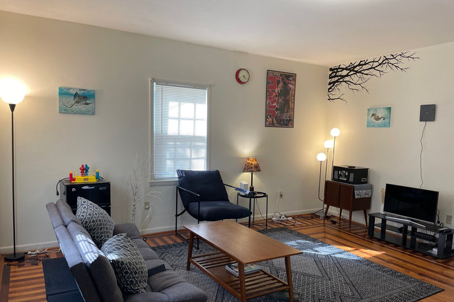 Living Room - Roomate needed for apartment, Close to campus