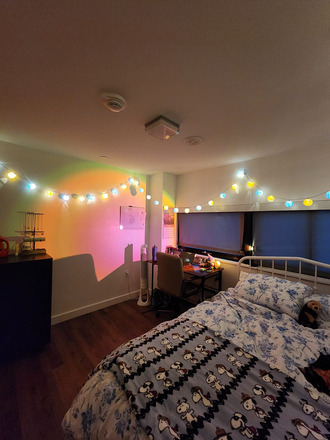 Bedroom (decorated) - Summer sublet/academic year room in 3 bed/1 bath, Soldiers Field Park (HUH), June 1 lease