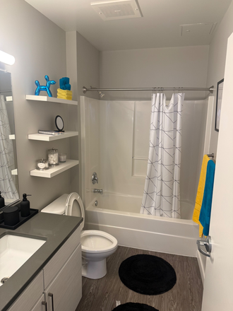 Bathroom - One bedroom in a Two Bedroom, Two Bath in the University View. Apartments