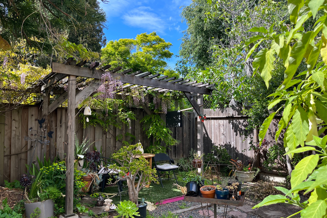 Garden - Summer Sublet for Single Bedroom Apartments