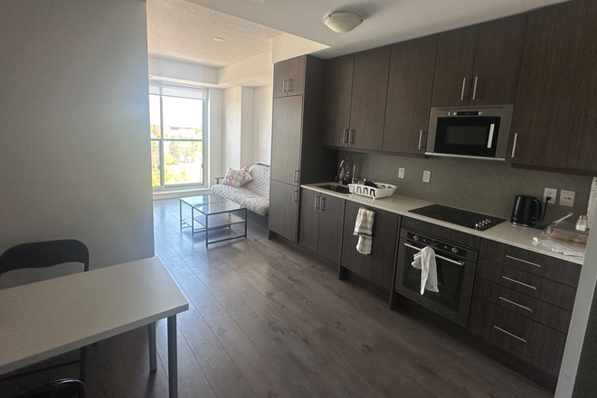Kitchen and Living Area - 1 Furnished Bedroom and Personal Bathroom in Kensington Market Area, 10 minute walk from UofT's AC.