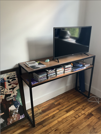 TV - Beautiful East Village Studio Apartment for July 1-August 25 Sublet