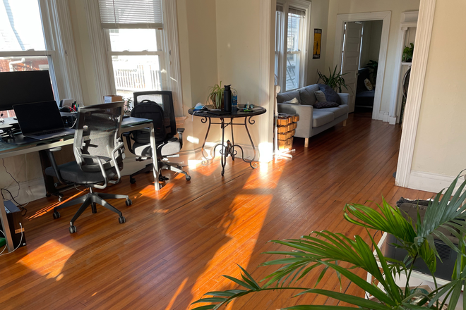 Living room - Beautiful Apartment in Wayland