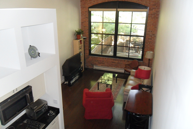 Living room -Photo taken from upstairs bedroom - Aberdeen Lofts, Near Fresh Pond and Harvard Square