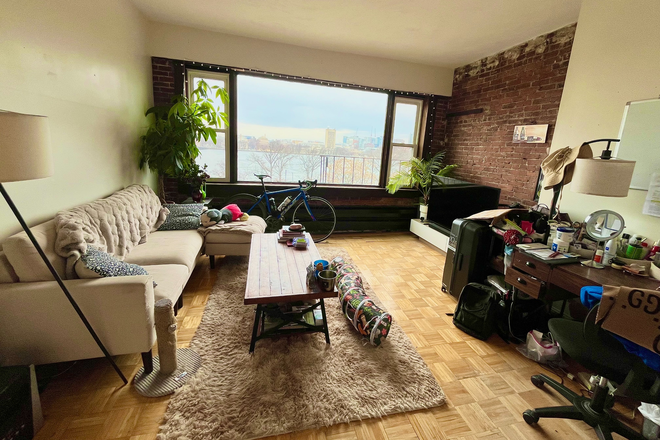 living room - STUNNING 1 BED/1 BATH AVAILABLE 9/1/26!