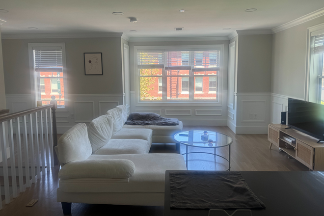 Living Room - Apartment in Brighton