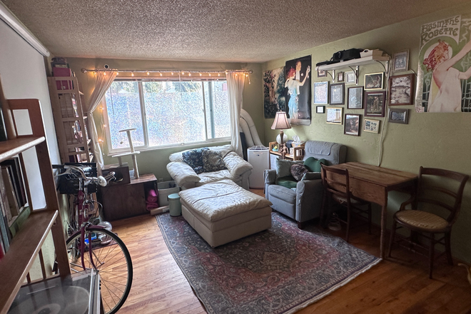 Living room from entryway - Room in cute apartment next to UO! / Move-in Apr. 7th / (ysk cats live here!)