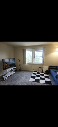 living room - Summer Sublease Entire Unit (1b1b) All Utilities Included