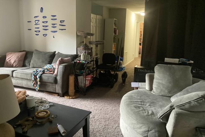 Entryway/Living Room + Hallway - Off Campus Apartment with Parking and Amenities at Cabin Creek