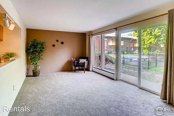 Wall of glass to afternoon light. - SEMESTER LEASE Spring 2026 Entire Unit 2BR NOW to MAY 15th or 30th.