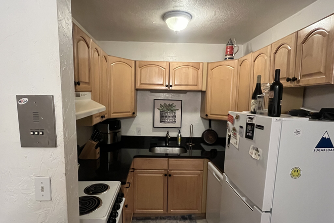 Kitchen - Modern 1 bedroom on Salem St. in the North End! Apartments