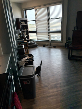 Living space - 1 BR 1 Bath Top Floor.  $1850 / month.  Move in April 7.  Lease ends June 27