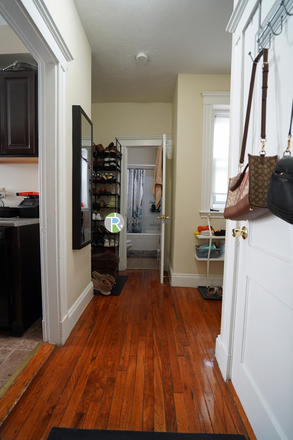 1 - DEC 2025-Sweet Allston 1 bed, H/HW inc. Cat ok. Easy MBTA. No Fee! Apartments