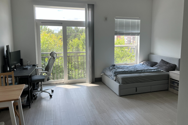 Room - Spacious & Clean Studio Apartment Sublease (7/18-8/23)